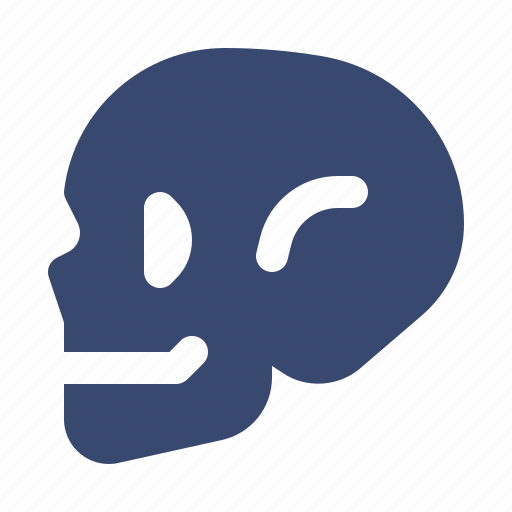 Medical, health, healthcare, skull, head, anatomy icon - Download on Iconfinder