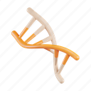 human, dna, genetic, double helix, medical, science, molecule 