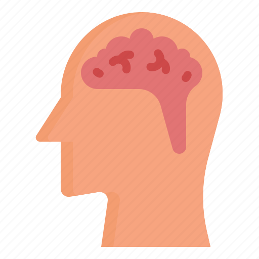 Brain, head, healthcare, medical, neurology icon - Download on Iconfinder