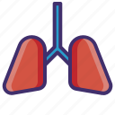 bronchial, healthcare, human lungs, human organ, lungs, pulmonology, respiratory tract