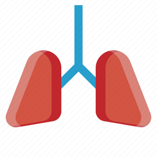 Bronchial, healthcare, human lungs, human organ, lungs, pulmonology, respiratory tract icon - Download on Iconfinder