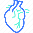 body part, healthcare, heart, medical, organ