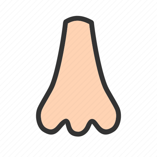 Face, human, nose, nostril, people, skin, smell icon - Download on Iconfinder