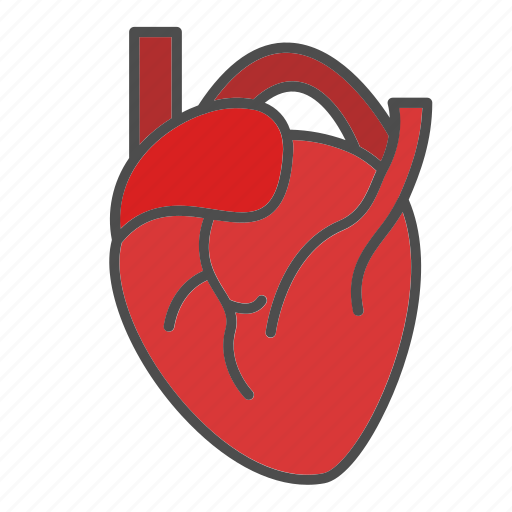 Anatomy, health, heart, lover, medical icon - Download on Iconfinder