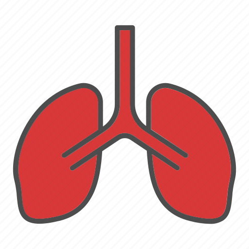 Anatomy, human, lung, medical, smoking icon - Download on Iconfinder