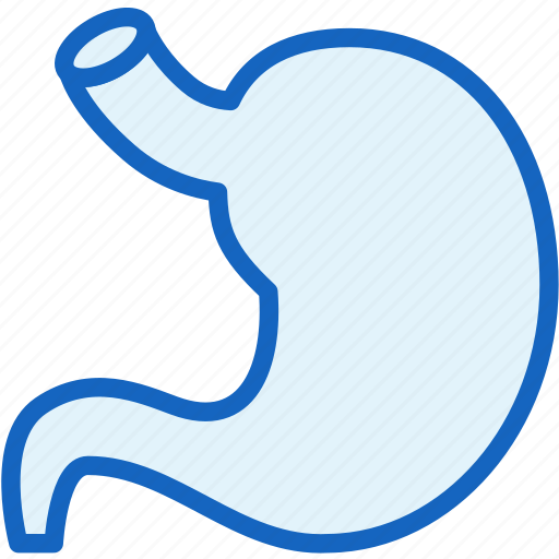 Body, healthcare, part, stomach icon - Download on Iconfinder
