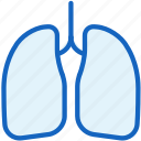 body, healthcare, human, lungs