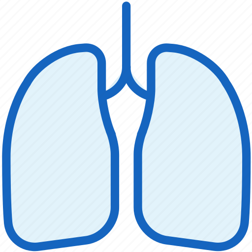 Body, healthcare, human, lungs icon - Download on Iconfinder