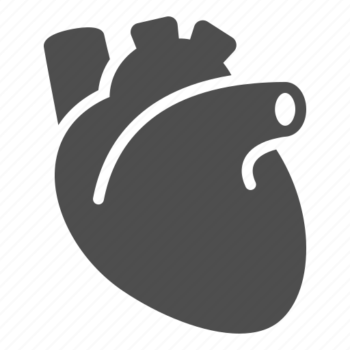 Heart, organ, human heart, health icon - Download on Iconfinder