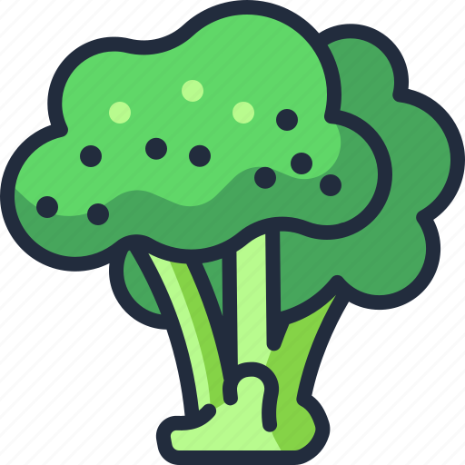 Broccoli, healthy, food, vegetable, kitchen, vegetarian icon - Download on Iconfinder