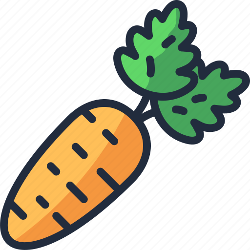 Carrot, organic, food, vegetable, fresh, healthy icon - Download on Iconfinder