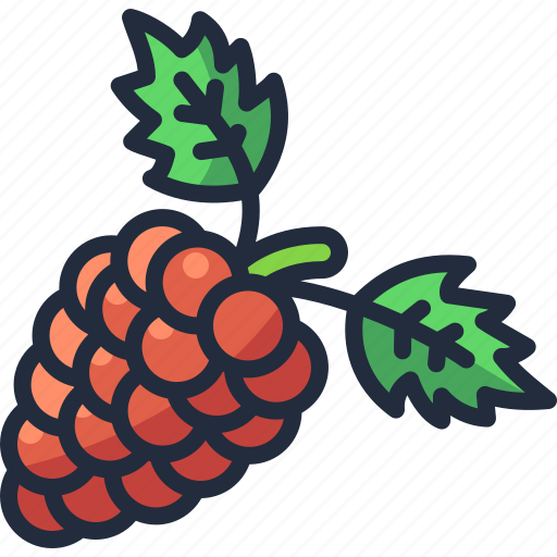 Raspberry, fruit, organic, healthy, forest, summer icon - Download on Iconfinder