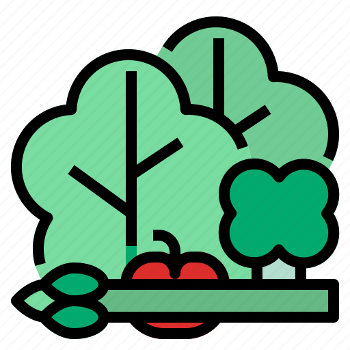 Broccolie, healthy, vetgetable icon - Download on Iconfinder