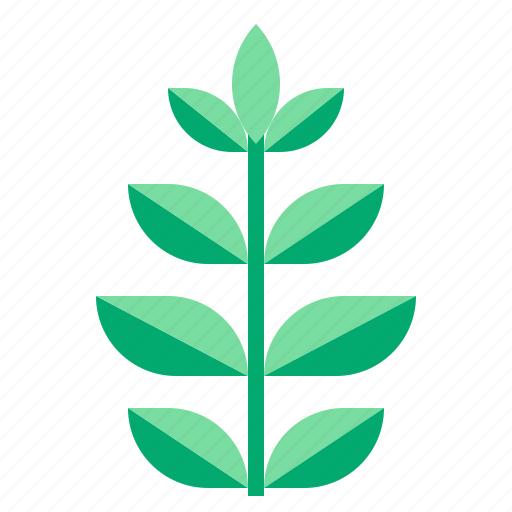 Herb, leaf icon - Download on Iconfinder on Iconfinder