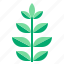 herb, leaf 