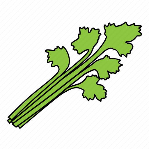 Bio, celery, food, herb, product, vegan, vegetable icon - Download on Iconfinder