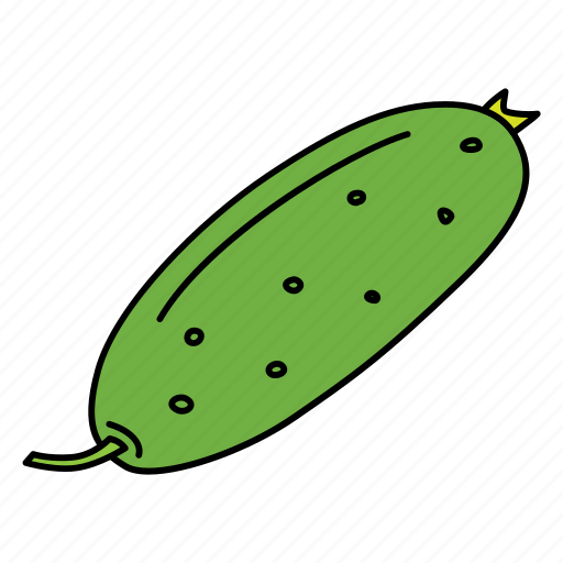 Bio, cucumber, food, fruit, product, vegan, vegetable icon - Download on Iconfinder