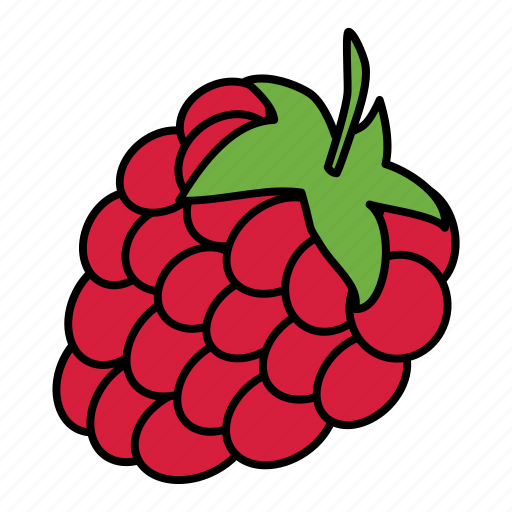 Berry, bio, food, fruit, raspberry, vegan icon - Download on Iconfinder