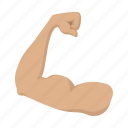 arm, bicep, cartoon, hand, muscle, muscular, sport