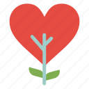 heart, like, love, plant, tree