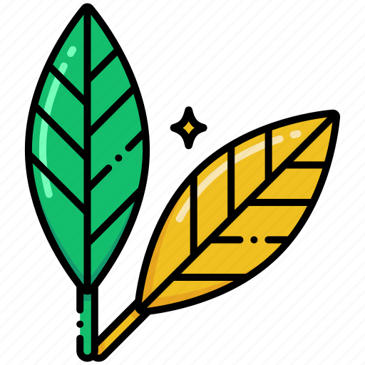 Bay, leaf, spice, herbs icon - Download on Iconfinder