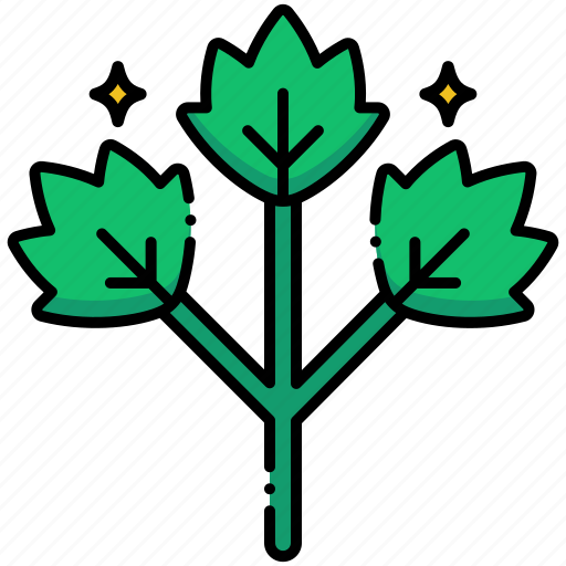 Parsley, spices, herbs, food icon - Download on Iconfinder