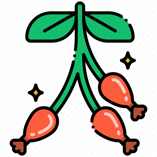 Rose, hip, flower, spices icon - Download on Iconfinder