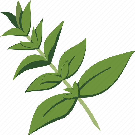 Oregano, leaf, herb icon - Download on Iconfinder