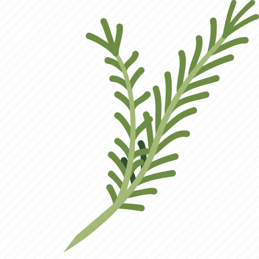 Herbs, rosemary, stick icon - Download on Iconfinder