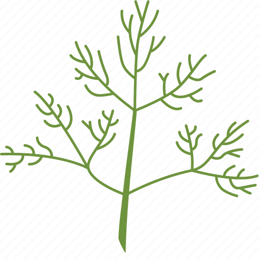 Dill, plant, stick icon - Download on Iconfinder