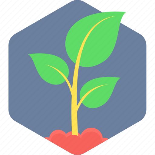 Plant, ecology, green, leaf, nature icon - Download on Iconfinder