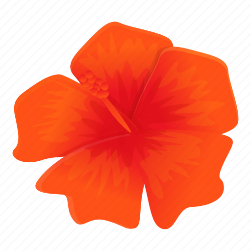 Hibiscus, flower, beautiful, beauty icon - Download on Iconfinder