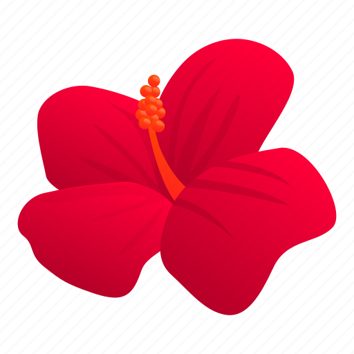 Aroma, hibiscus, nature, bouquet icon - Download on Iconfinder