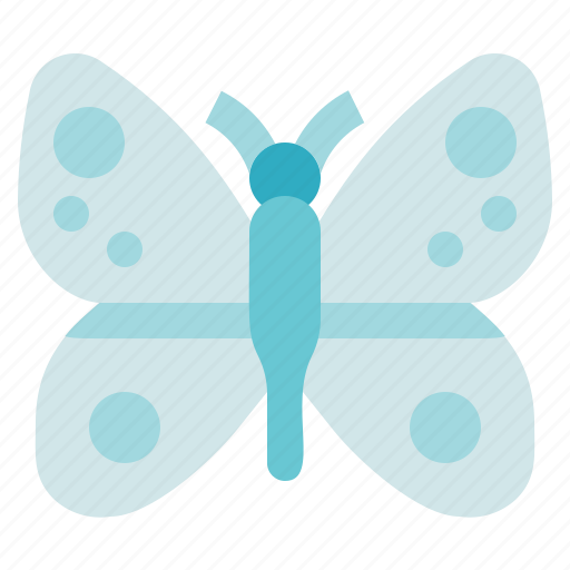 Specimen, animal, butterfly, biology icon - Download on Iconfinder