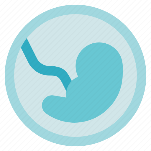 Pregnancy, fetus, embryo, biology icon - Download on Iconfinder