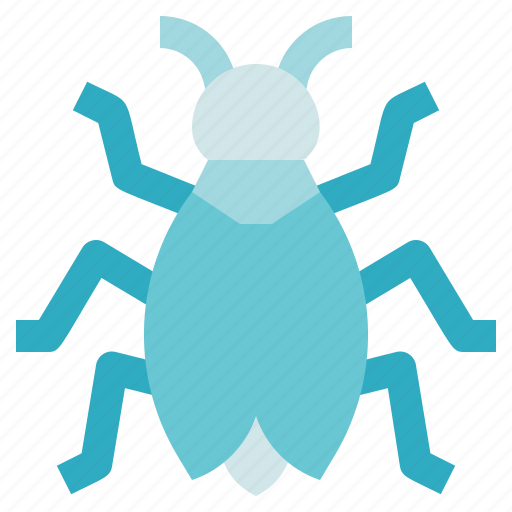 Bug, insect, animal, biology icon - Download on Iconfinder