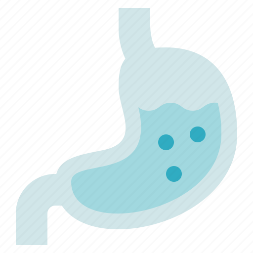Stomach, organ, digestion, biology icon - Download on Iconfinder