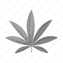 cannabis, drug, hemp, leaf, marijuana, plant