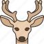 deer, stag, animal, head, wildlife 