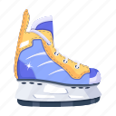 sports shoe, footwear, hockey shoe, sports boot, running shoe