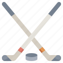 competition, equipment, hockey, sports, sticks, tools, utensils