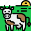 animal, cow, farm, hokkaido 
