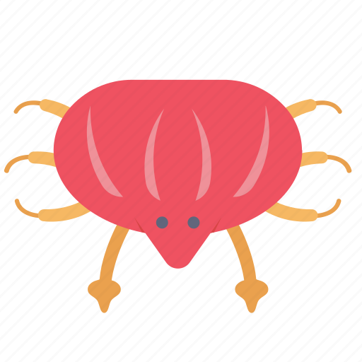 Crab, sea, ocean, beach icon - Download on Iconfinder