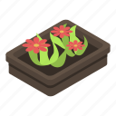 cartoon, floral, flower, isometric, pot, red, square