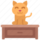 cat, on, desk, animal, pet, kitten
