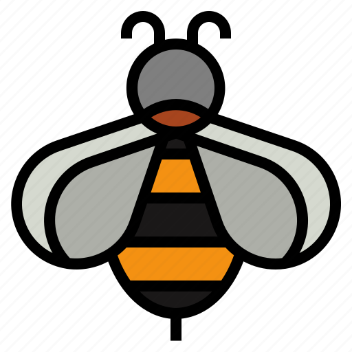 Bee, honey, apiary, zoology, entomology icon - Download on Iconfinder