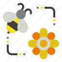 beekeeping, bee, insect, entomology, zoology
