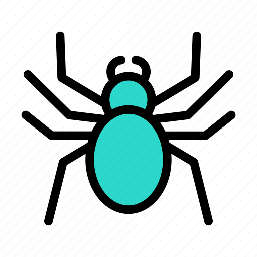 Spider, cobweb, insect, horror, halloween icon - Download on Iconfinder
