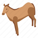 cartoon, derby, horse, isometric, nature, silhouette, sport