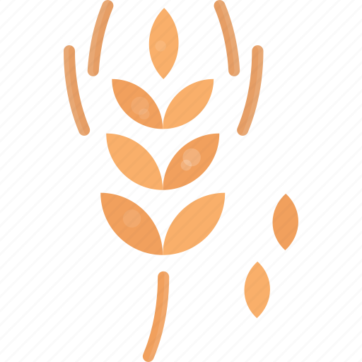 Grain, millet, oat, wheat icon - Download on Iconfinder
